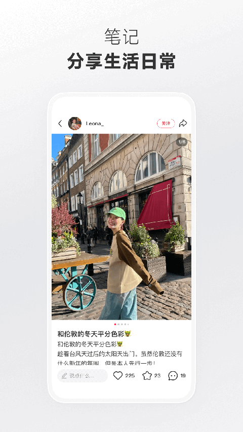 獴群追月踏碎星河图壁纸